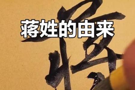 蒋姓男孩名字大全-蒋姓男孩起名字大全-蒋姓名字大全姓名