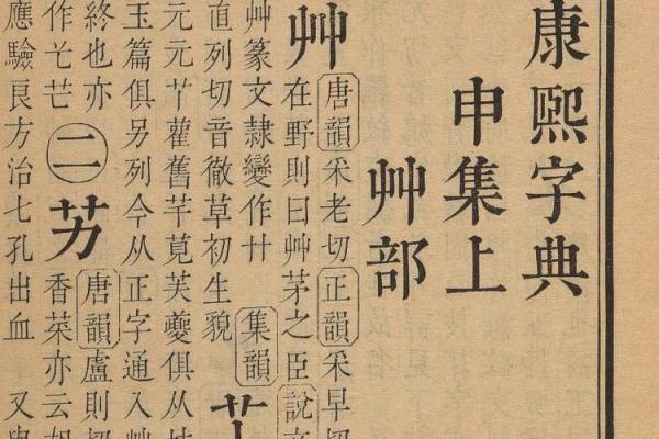 康熙字典11画的字-姓名学-华易算命网姓名