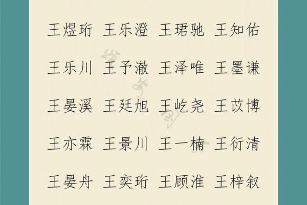王姓男孩名字大全-王姓男孩起名字大全-王姓名字大全姓名