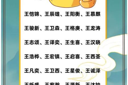 王姓男孩名字大全-王姓男孩起名字大全-王姓名字大全姓名