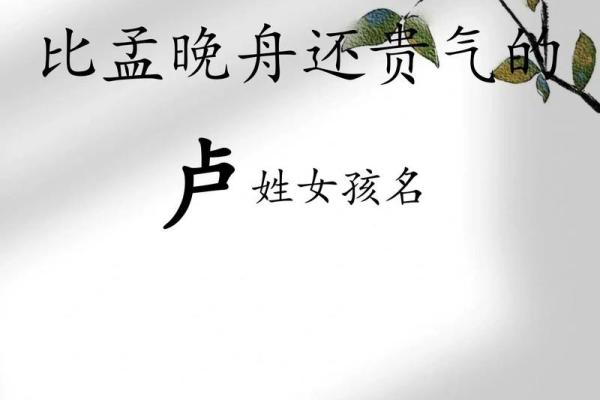 卢姓女孩名字大全-卢姓女孩起名字大全-卢姓名字大全姓名