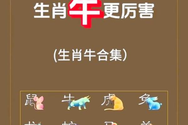 晚上12点出生的属牛男孩适合用什么字取名姓名
