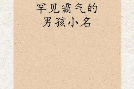 2019年6月27号卯时出生的男孩要怎么起名字姓名
