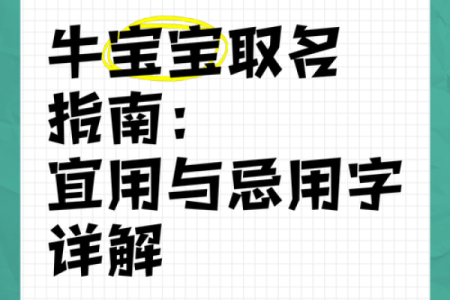 晚上12点出生的属牛男孩适合用什么字取名姓名