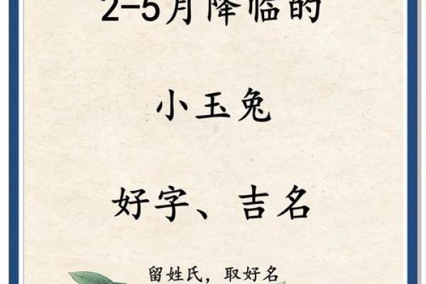 属兔辰时出生的男孩最好用什么字取名姓名