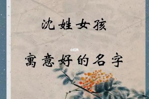 沈姓女孩名字大全-沈姓女孩起名字大全-沈姓名字大全姓名