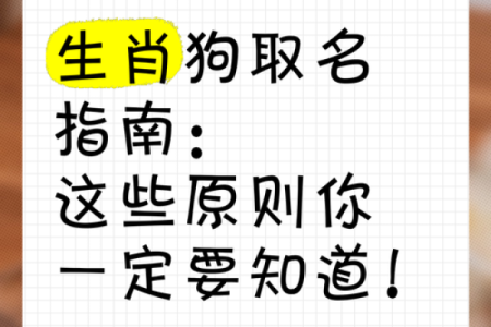 早上出生的属狗男孩怎么取名 ，宜用什么字姓名