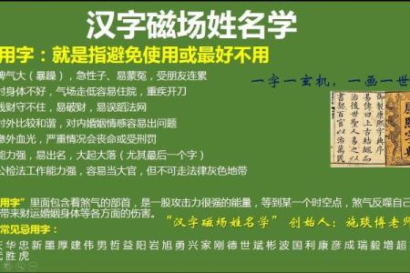 宠物用品店名字-姓名学-华易算命网姓名
