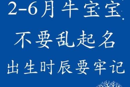 2019年5月6号丑时出生的男孩要怎么起名字姓名
