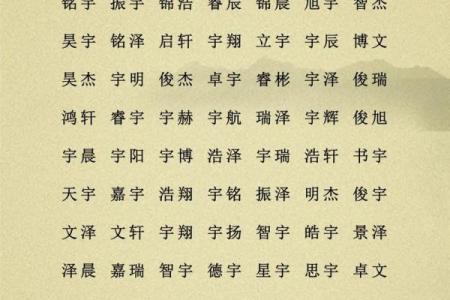 属鸡巳时出生的男孩该怎样取名姓名