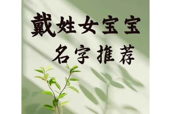 戴姓男孩名字大全-戴姓男孩起名字大全-戴姓名字大全姓名