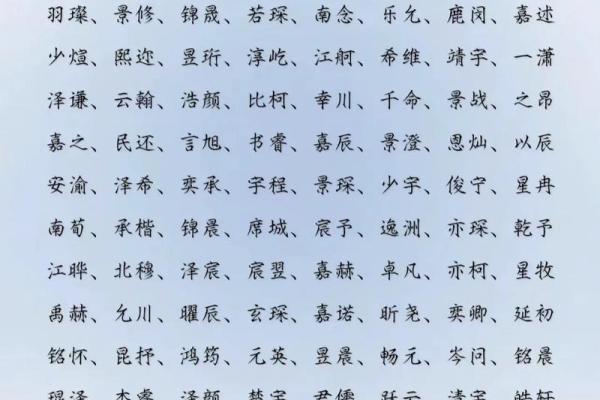 2019年6月11号子时出生的男孩如何起名姓名