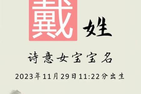 戴姓男孩名字大全-戴姓男孩起名字大全-戴姓名字大全姓名