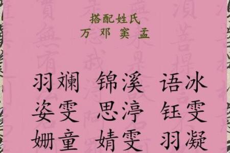 计姓女孩名字大全-计姓女孩起名字大全-计姓名字大全姓名