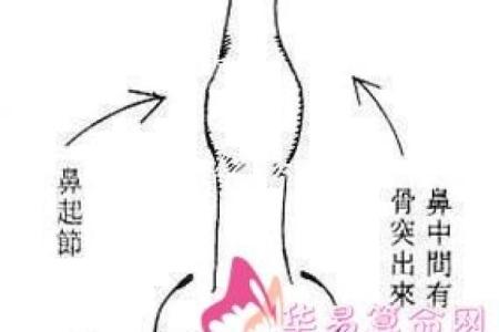 姓公冶的名人-姓名学-华易算命网姓名