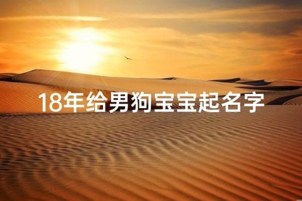 六月份出生的属狗男孩取什么名字好？姓名