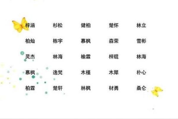 2019年3月17号巳时出生的男孩应该起什么样的名字姓名