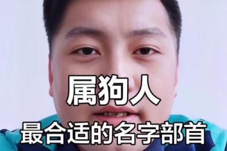 六月份出生的属狗男孩取什么名字好？姓名