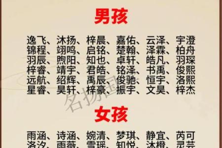 2019年3月22号丑时出生的男孩起名方法姓名