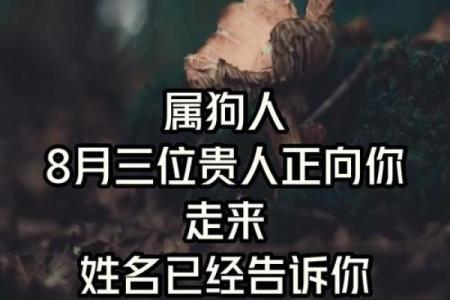 中午12点出生的属狗男孩取什么名，适合什么字姓名