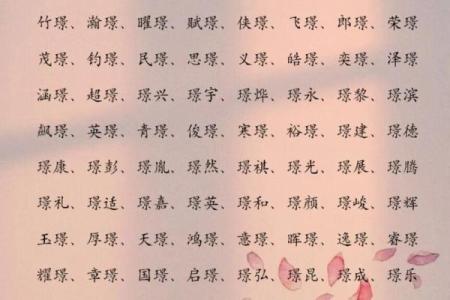 2019年3月17号巳时出生的男孩应该起什么样的名字姓名