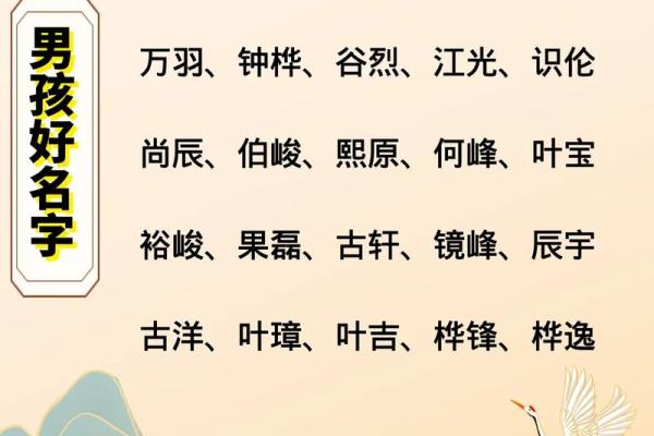 2019年5月29号寅时出生的男孩应该起什么样的名字姓名