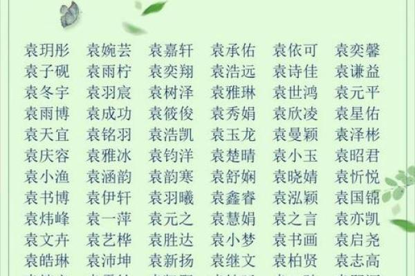 2019年5月29号寅时出生的男孩应该起什么样的名字姓名