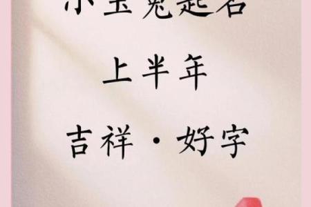 5月份出生的属兔女孩起什么名字好姓名