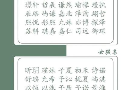2019年3月28号酉时出生的男孩如何起名姓名