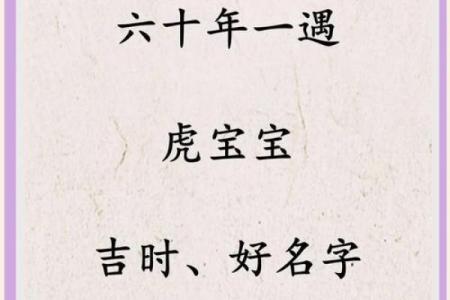 晚上出生的属虎男孩应该如何起名，宜用什么字姓名
