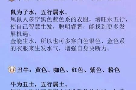 论如何给属鼠午时出生的男孩起名姓名