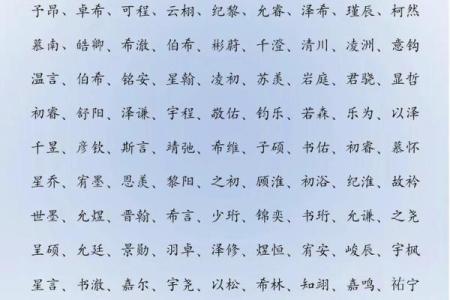 2019年3月26号卯时出生的男孩要怎么起名字姓名