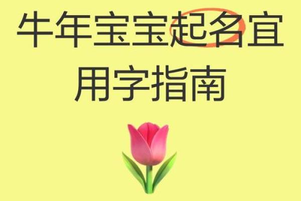 早上8点出生的属牛男孩怎么样起名，宜用什么字姓名