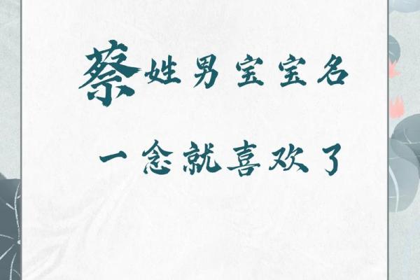 姓蔡的名人-姓名学-华易算命网姓名