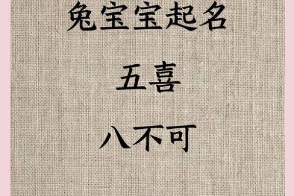 怎么给属兔丑时出生的男孩取名好姓名