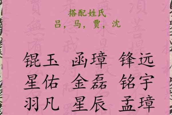 2019年3月5号出生的男孩起什么名字好，五行属什么姓名