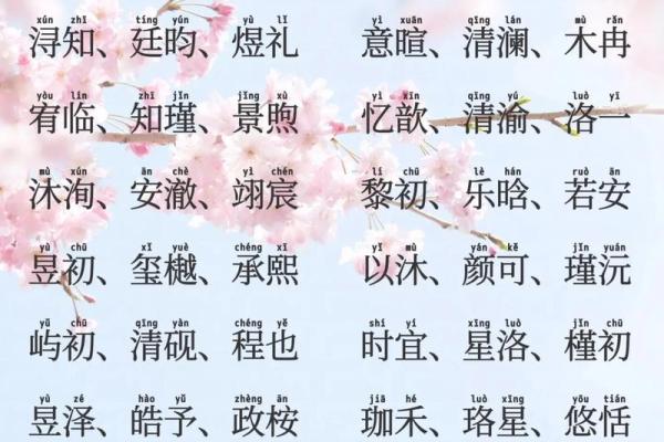 2019年6月19号丑时出生的男孩起名时要注意什么姓名
