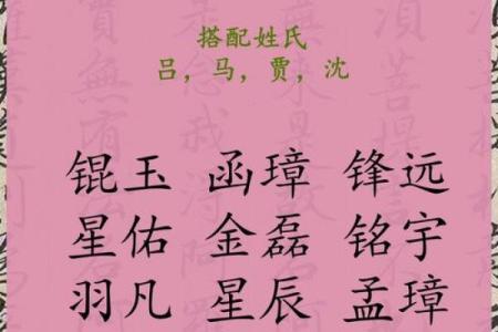 2019年3月5号出生的男孩起什么名字好，五行属什么姓名