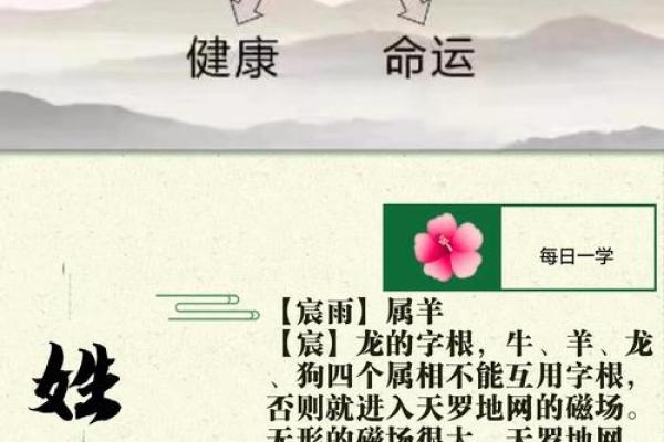晚上出生的属羊男孩应该如何起名，宜用什么字姓名