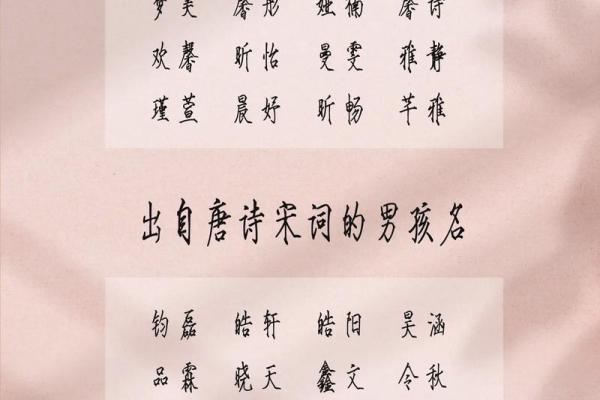 2019年3月12号丑时出生的男孩起名方法姓名