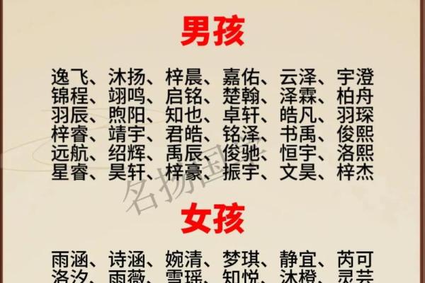 2019年处暑出生的男宝宝叫什么小名好？姓名