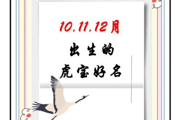 早上出生的属虎男孩如何起名，宜用什么字姓名