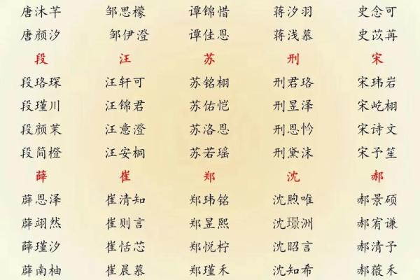 晚上11点出生的属蛇男孩如何起名，宜用哪些字姓名