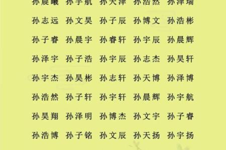 早上出生的属猴男孩取什么名，宜用什么字姓名