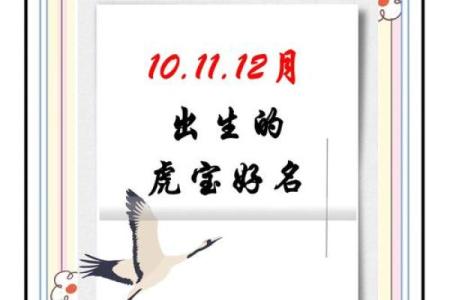 早上出生的属虎男孩如何起名，宜用什么字姓名