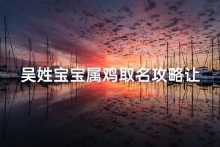 中午12点出生的属鸡男孩如何起名合适姓名