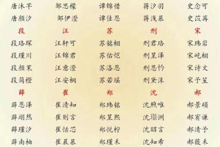 晚上11点出生的属蛇男孩如何起名，宜用哪些字姓名