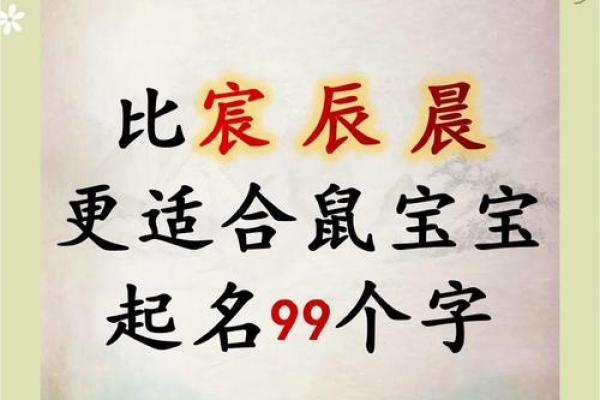 怎么给傍晚出生的属鼠男孩取名字姓名