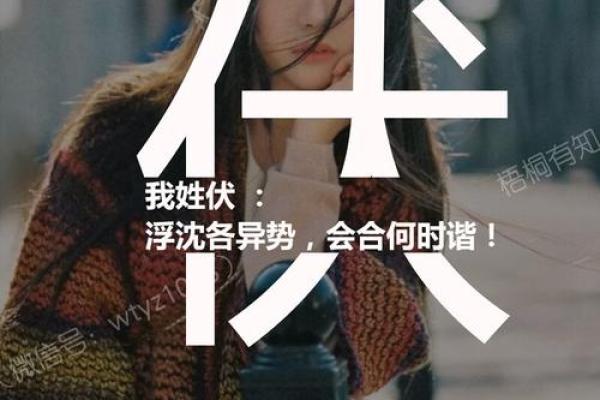 伏姓男孩名字大全-伏姓男孩起名字大全-伏姓名字大全姓名