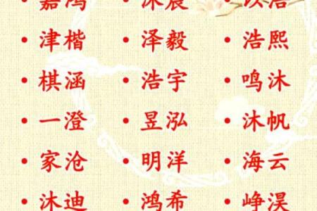 2019年3月30号辰时出生的男孩起名方法姓名